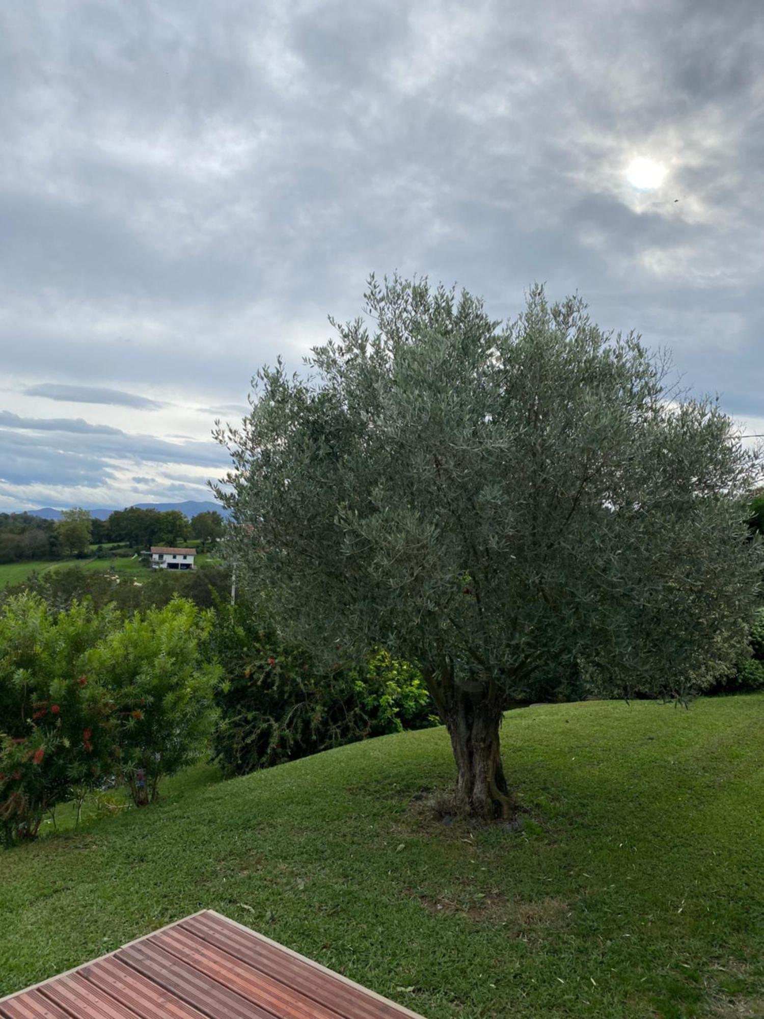Hotel Ama Lur Hasparren Esterno foto