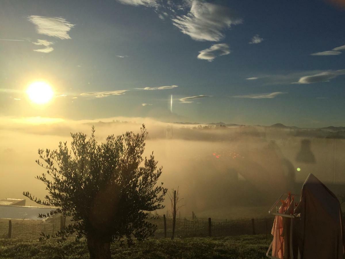 Hotel Ama Lur Hasparren Esterno foto